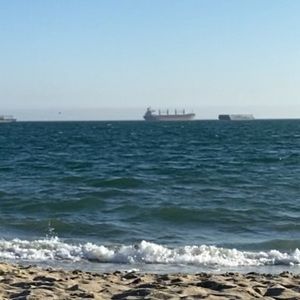 Meet your Posher, Ron